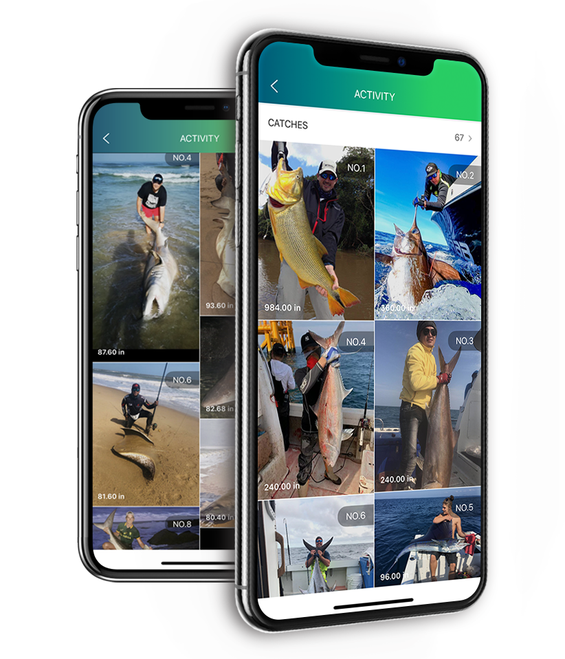 ОНЛАЙН-МЕРОПРИЯТИЯ