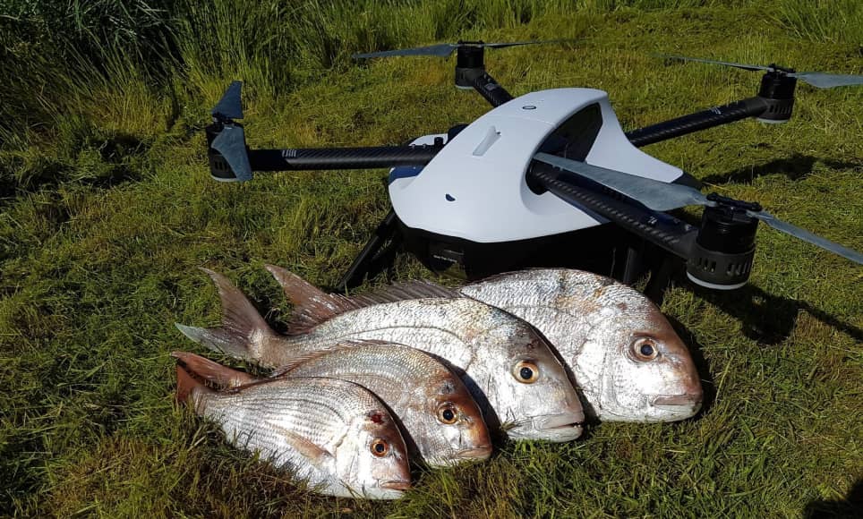 Catch More And Bigger Fish With MOBULA: A Look Back at Rippton's First  Waterproof Fishing Drone - Rippton
