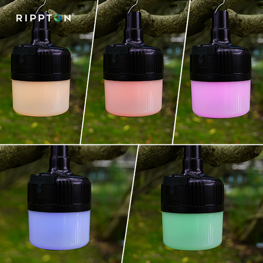 Bivvy lights sound activated with advanced alarm and receiver integration, perfect for carp angling setups