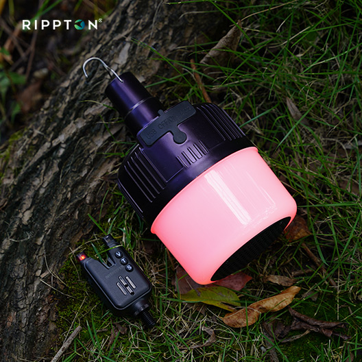 Fishing bivvy light system with sound-activated feature and compact remote for night-time carp fishing