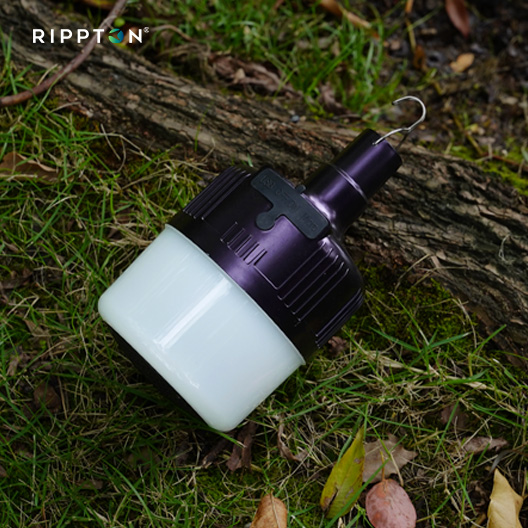 Rechargeable bivvy light for fishing, ideal for carp fishing at night with remote control functionality