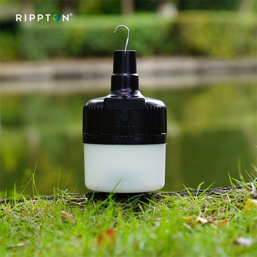 Rechargeable LED bivvy light for carp fishing by the lake, perfect for night angling adventures