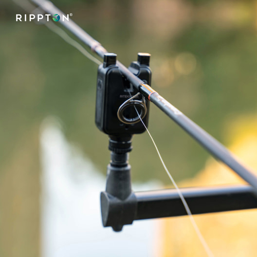 BITEKEEPER Pro Smart Bite Alarms with Receiver Set for Carp Fishing Pole -  Rippton