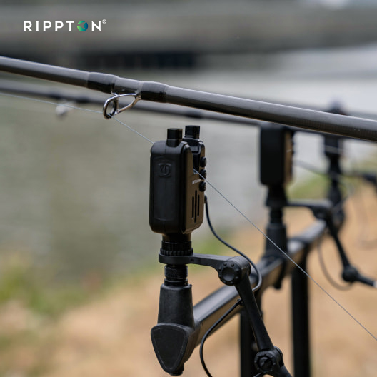 Buy RIPPTON BITEKEEPER PRO Rechargeable Smart Bite Alarm with Receiver 2+1  3+1 4+1 Set, Bluetooth APP Connect Wireless Fishing LED Sensitive Alarm, Fishing  Bite Indicators for Daytime/Night Carp Fishing Online at  desertcartSeychelles