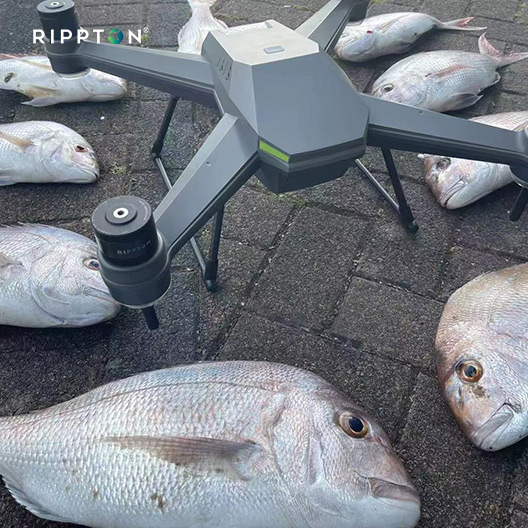 Rippton SharkX waterproof best drone for fishing surrounded by freshly caught fish on pavement, showcasing bait release capabilities