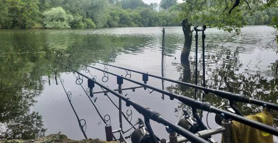 Tackling the Top Challenges in Spring Carp Fishing: Expert Tips & Solutions!